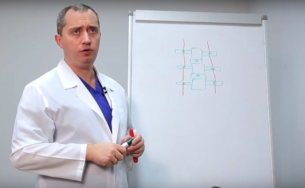Liječnik pokazuje strukturu kralježnice